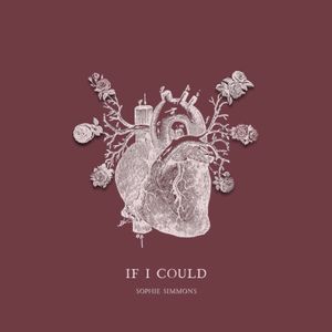 If I Could (Single)