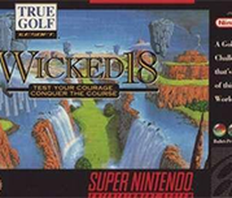 image-https://media.senscritique.com/media/000018226258/0/true_golf_classics_wicked_18.png