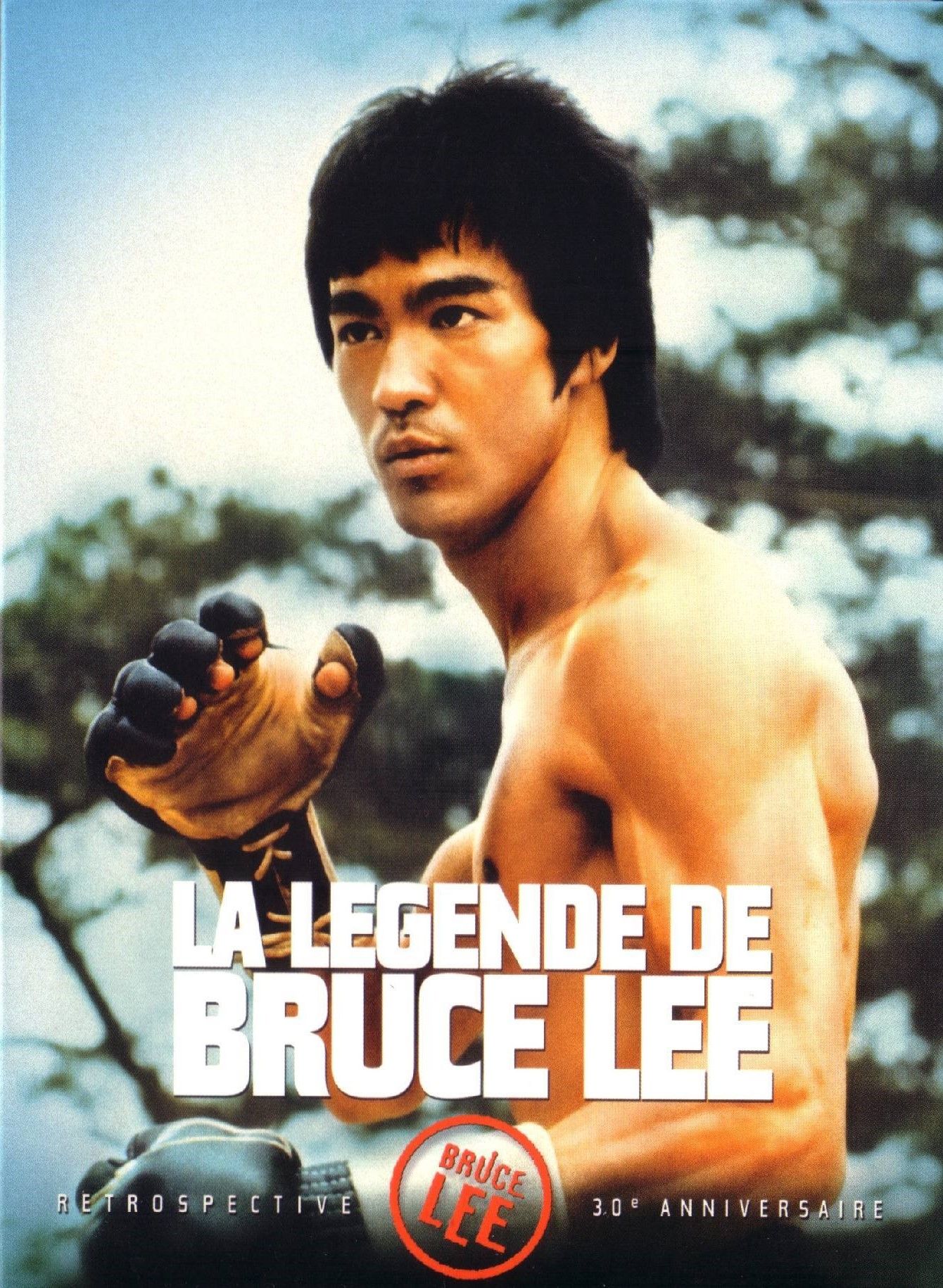 La légende de Bruce Lee - Film (1984) - SensCritique