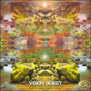 Vision Quest