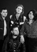 The Amazons