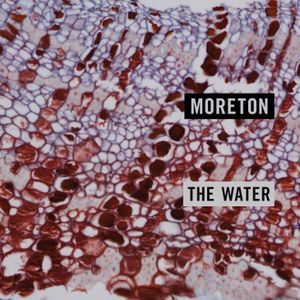 The Water (Single)