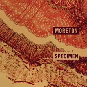 Specimen (EP)