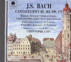 Cantate BWV 49 'Ich geh' und suche mit verlangen': I. Sinfonia