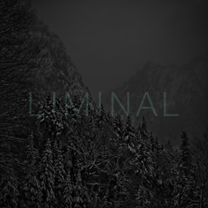 Vatnajökull (Liminal Remix)