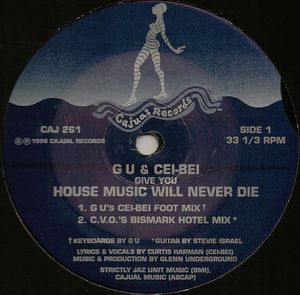 House Music Will Never Die (C.V. O's Bismark Hotel mix)