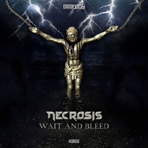 Wait & Bleed (Single)