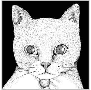 シャム猫の歌 (The Siamese Cat Song)