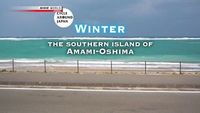 Winter: The Southern Island of Amami-Oshima