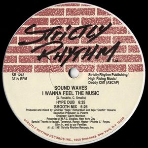 I Wanna Feel the Music / Gotta Have You (Single)