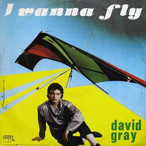 I Wanna Fly (Single)