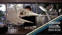 Dakus Bones