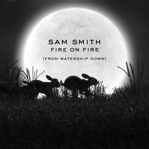 Fire on Fire (Single)