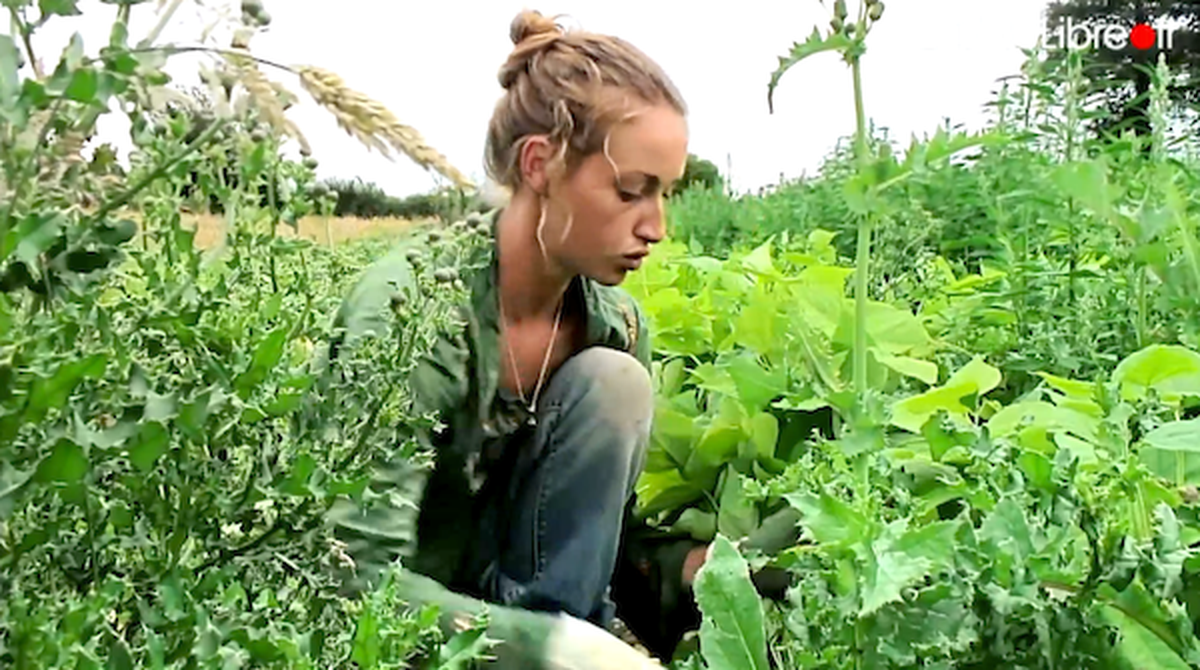 Anais S En Va T En Guerre Avis sur Anaïs s'en va-t-en guerre (2014) - SensCritique