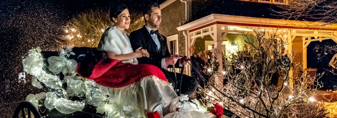 Cover Un mariage sous les flocons