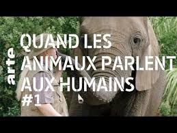 Paroles Danimaux 12 Quand Les Animaux Parlent Aux