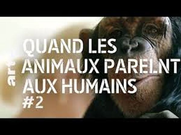 Paroles d'animaux (2/2) Quand les animaux parlent aux humains