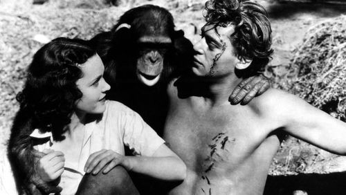 Le nouvel Eden selon Tarzan et Jane