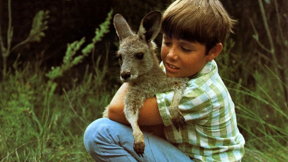 Skippy le kangourou Série (1968) SensCritique