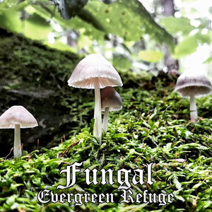 Fungal Part I