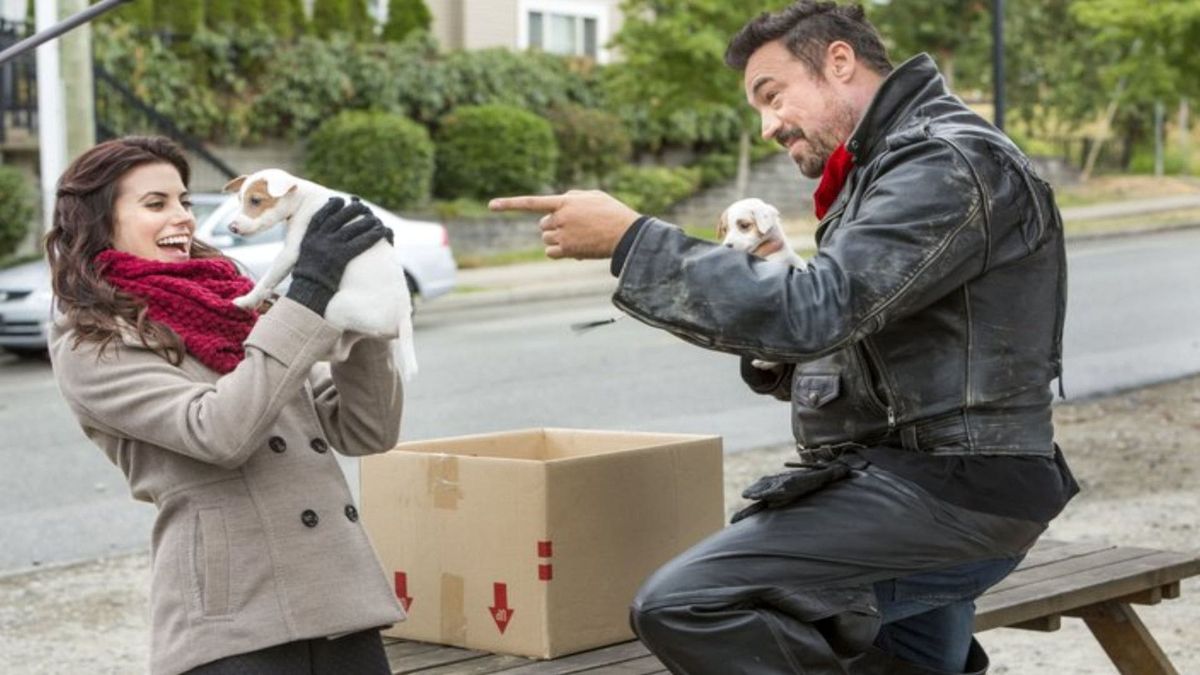 En Cavale Pour Noël En cavale pour Noël - Téléfilm (2015) - SensCritique