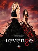 Affiche Revenge