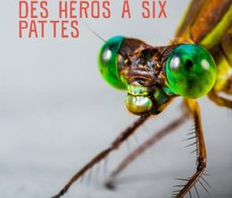 image-https://media.senscritique.com/media/000018280347/0/les_insectes_des_heros_a_six_pattes.jpg
