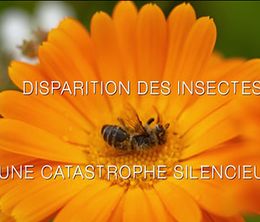 image-https://media.senscritique.com/media/000018280349/0/disparition_des_insectes_une_catastrophe_silencieuse.jpg