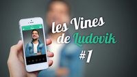 Les Vines de Ludovik #1