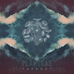 Taproot (EP)