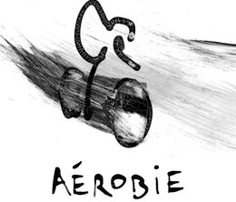 image-https://media.senscritique.com/media/000018287082/0/aerobie.jpg