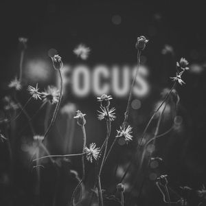 Focus