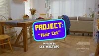 Project Haircut