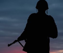 image-https://media.senscritique.com/media/000018291877/0/the_unknown_soldier.jpg