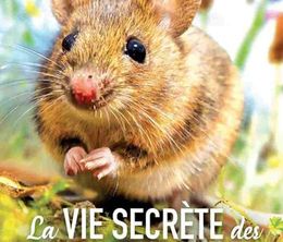 image-https://media.senscritique.com/media/000018292834/0/la_vie_secrete_des_animaux_du_village.jpg