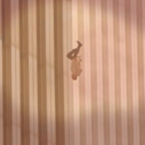 The Falling Man