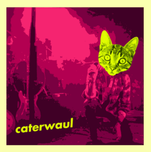 Caterwaul (OST)