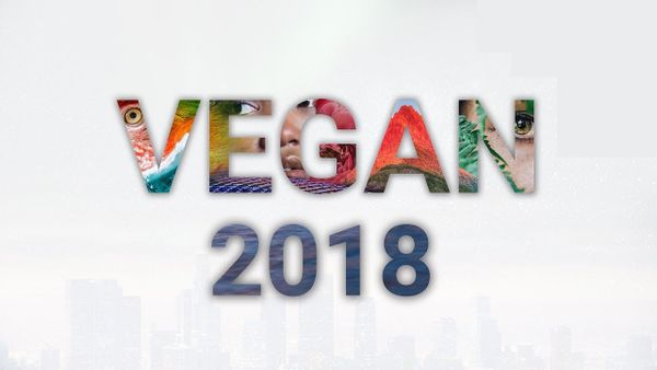 Vegan 2018