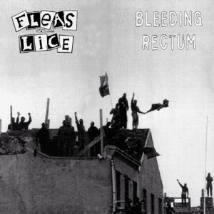 Bleeding Rectum / Fleas And Lice