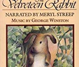 image-https://media.senscritique.com/media/000018303027/0/little_ears_the_velveteen_rabbit.jpg