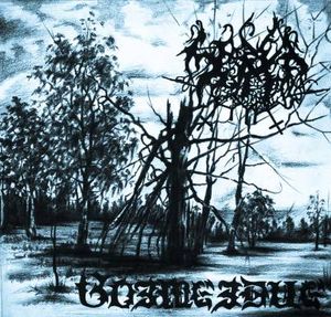 Autumn in the Forest