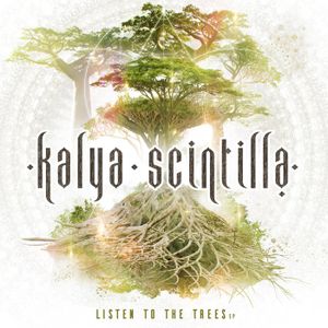Acacia
