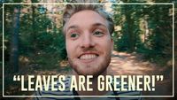 Bastiaan takes MDA in the forest | Drugslab