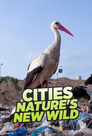 Cities: Nature's New Wild