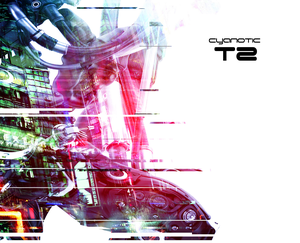 T2