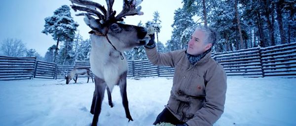 Reindeer Family & Me