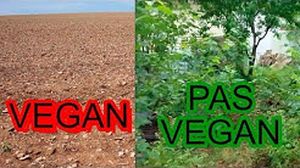 Pourquoi le véganisme va disparaître avant 2045