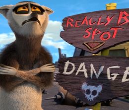 image-https://media.senscritique.com/media/000018321252/0/roi_julian_l_elu_des_lemurs_en_exil.jpg