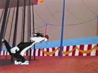 Tweety's Circus