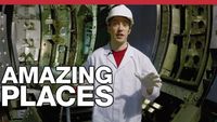 The Not-Quite-Robots That Help Fix Fusion Reactors